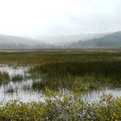 Big Lagoon County Park