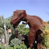 California Nursery Specialties - Cactus Ranch
