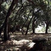 Windermere Ranch