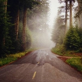 Bald Hills Road
