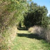 Colusa National Wildlife Refuge