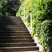 Filbert Steps