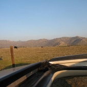 Woodlake