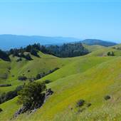 Mount Tamalpais State Park (SP)