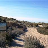 Salinas River State Beach (SB)