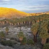 Coachella Valley Preserve System