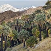 Coachella Valley Preserve System