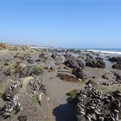El Capitan State Beach (SB)