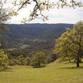 Cache Creek Wilderness