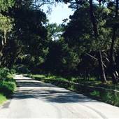 Iris Canyon Road