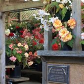 Mendocino Coast Botanical Gardens