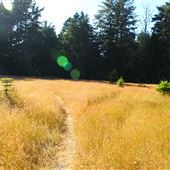 Caspar Uplands Trail