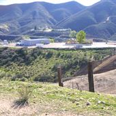 Coyote Flats