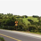 Highway 128 - Yorkville corridor