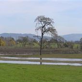 Laguna de Santa Rosa
