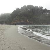 Big River Beach @ Menodocino Headlands State Park  (SP)