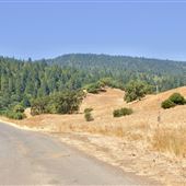 Hutsell Road