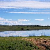 Payne's Creek Wetlands