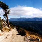 Forest Service Road 2N13C