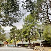 Whispering Pines Lodge