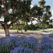 Carmel Valley Ranch Hotel