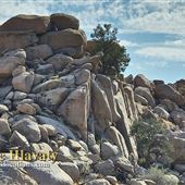 Boulder Gardens Sanctuary