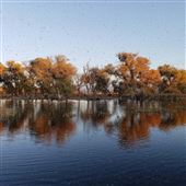 Kemper Campbell Ranch