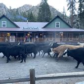 Kennedy Meadows Resort & Packstation