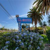 Cadillac Jacks Cafe & Pink Motel