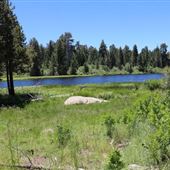 Bluff Lake Reserve