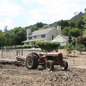 Colvard Ranch / Painted Pony Farm