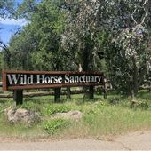 Wild Horse Sanctuary