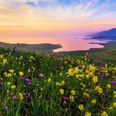 San Luis Reservoir State Recreation Area (SRA)
