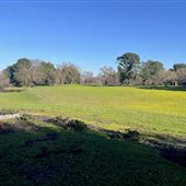 Acampo Property