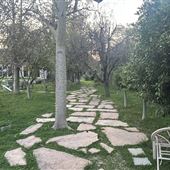 Northridge/Sherwood Forest Acre Lot