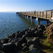 Candlestick Point State Recreation Area (SRA)