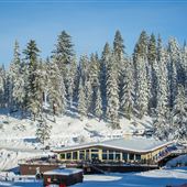 Dodge Ridge Mountain Resort