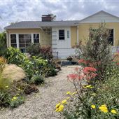 Willowcrest Avenue