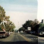 Los Olivos