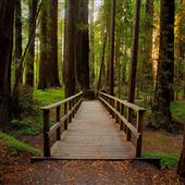 Hendy Woods State Park (SP)
