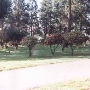 Paradise Cemetery