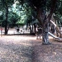 Placerita Canyon State Park (SP) / Placerita Canyon Natural Area / Placerita Nature Center