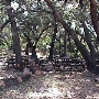 Rocky Oaks - National Park Service (NPS)