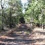 Ratto Ranch