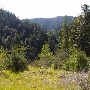 Branscomb Road