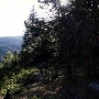 Giant Sequoia National Monument
