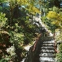 Shadowbrook Restaurant