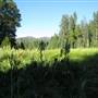 Hodgdon Meadows