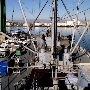 SS Lane Victory