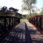 Strawberry Farms Golf Club